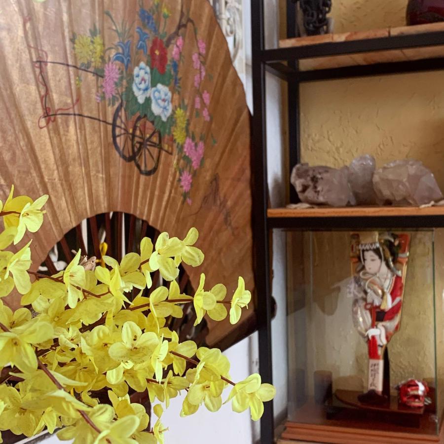 Hostel Ipe Сао Паоло Екстериор снимка